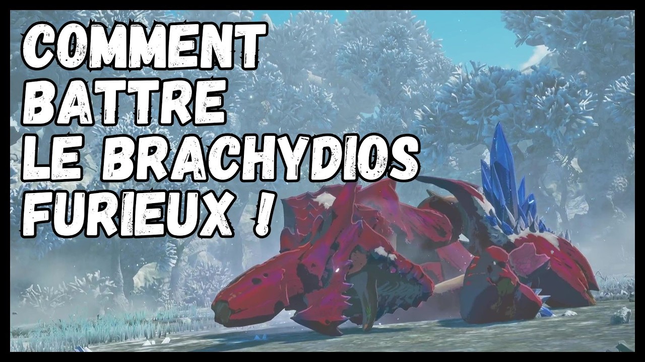 BATTRE LE BRACHYDIOS FURIEUX ! MH Stories 3