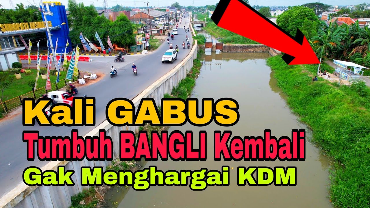 bangunan liar tumbuh lagi di kali gabus, padahal belum lama di normalisasi! gak menghargai kdm