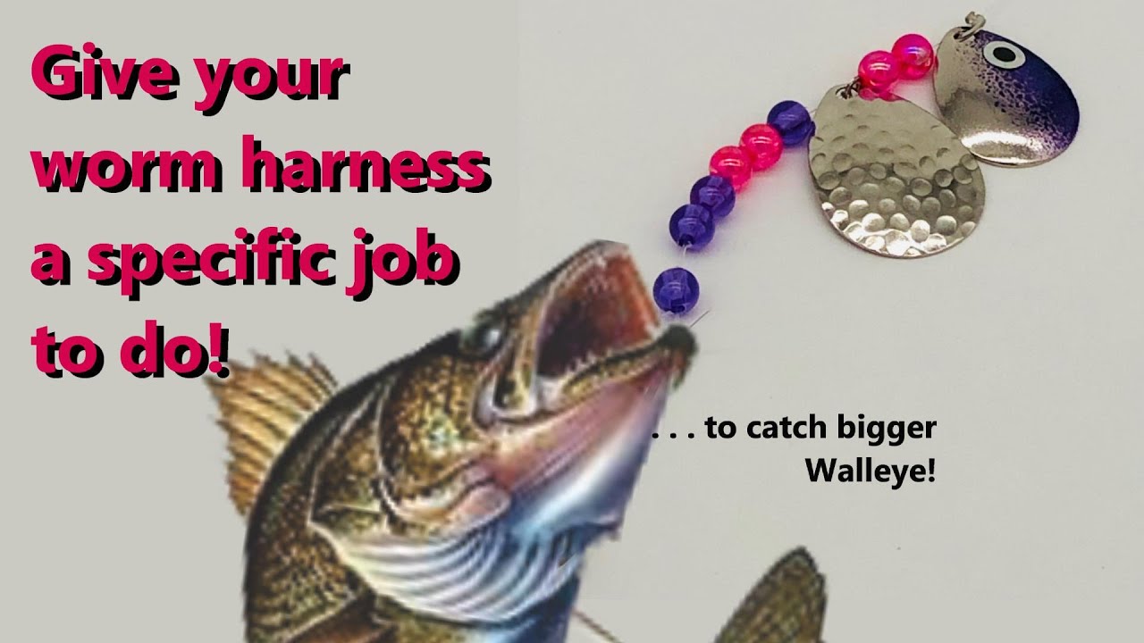 Make Worm Harness and give it a Job to Catch BIG Walleye