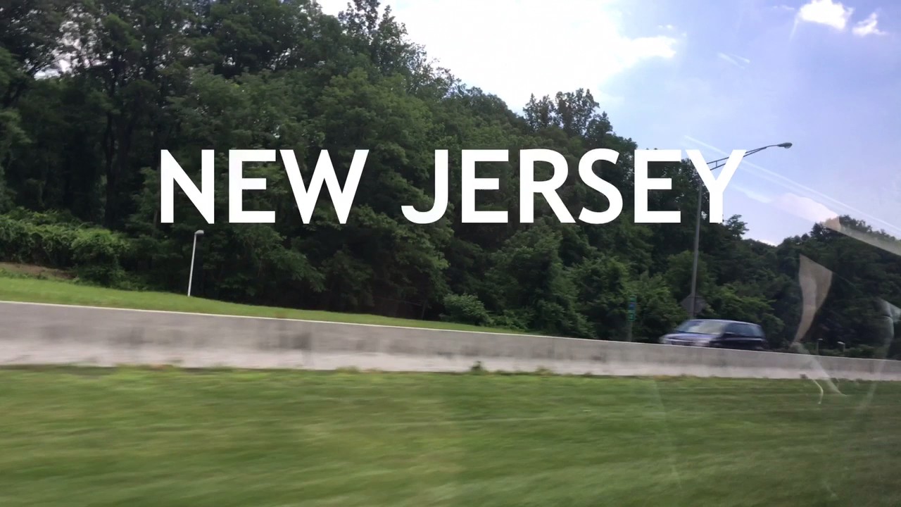 The Spideronicturtle Goes To Pensilvania, Philadelphia, And New Jersey