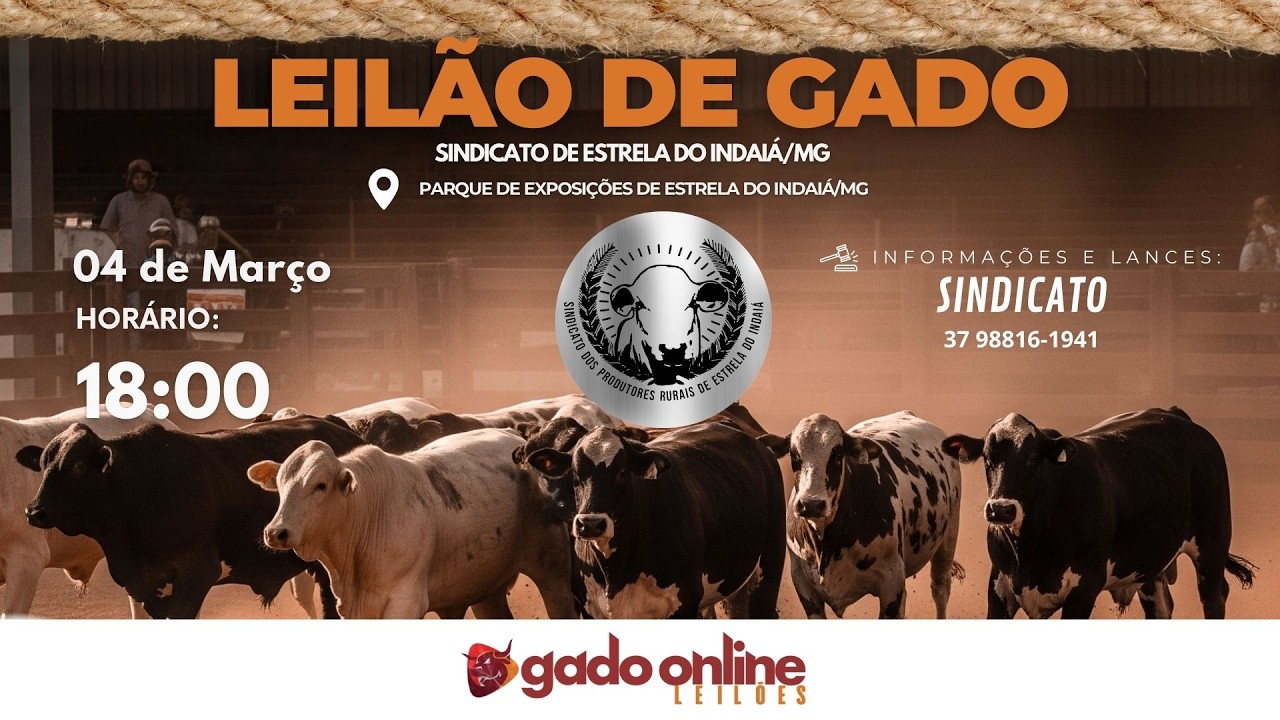 ⭐ 73º LEILÃO MISTO  SINDICATO DOS PRODUTORES RURAIS DE ESTRELA DO INDAIÁ/MG