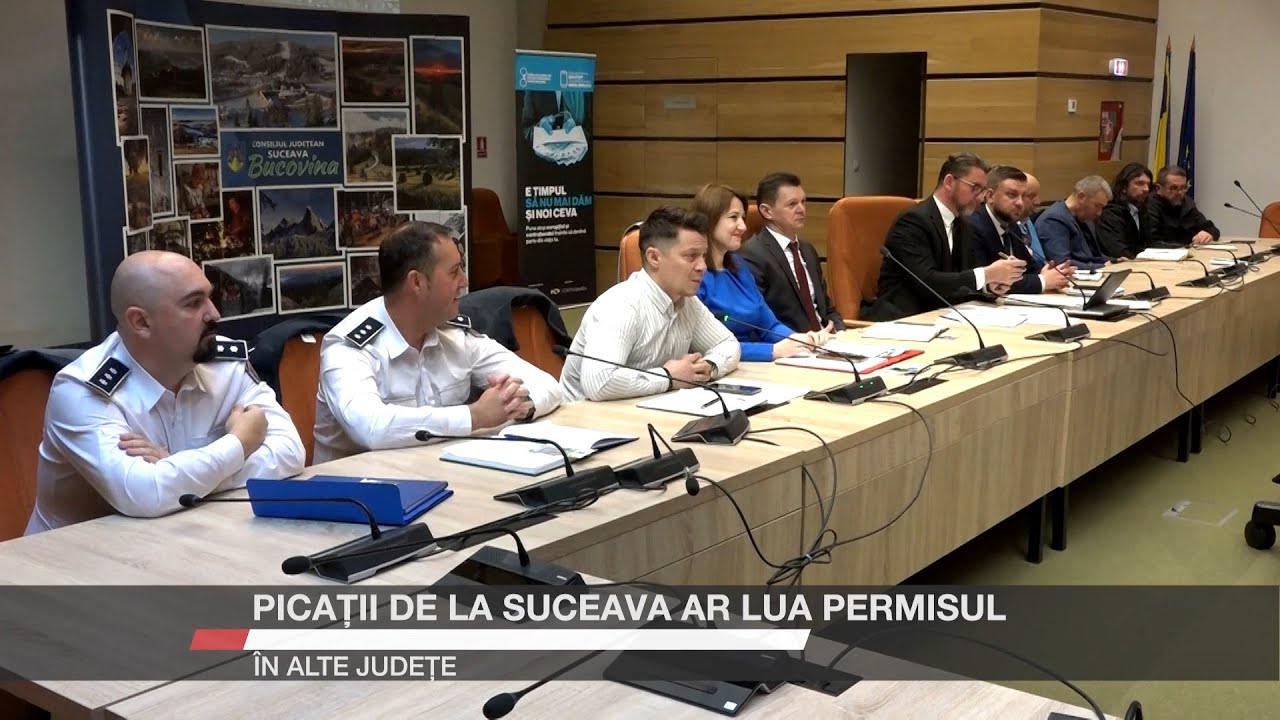 Picații de la Suceava ar lua permisul în alte județe