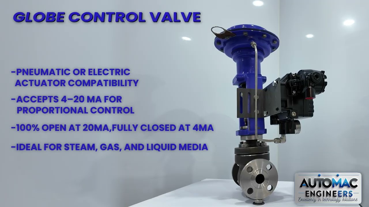 Globe Control Valve