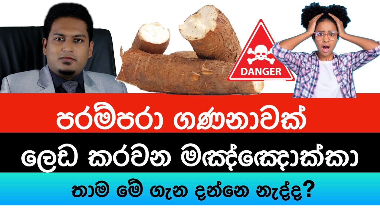 පරම්පරා ගණනාවක් ලෙඩ කරන මඤ්ඤොක්කා | Cassava & Future Generation By Nutritionist Hiroshan Jayaranga