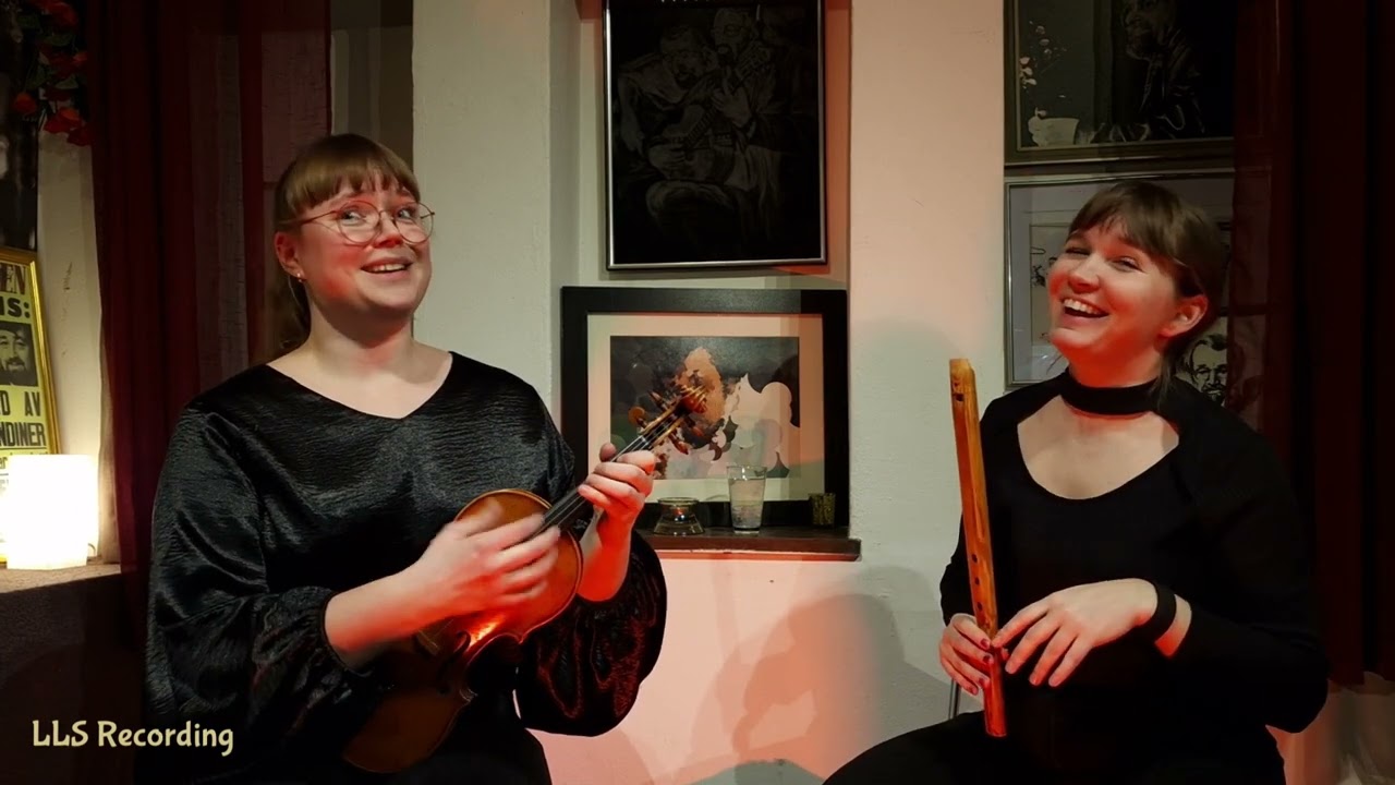 Våtmark  - Hökis Visrum 2023-01-26 Konserten