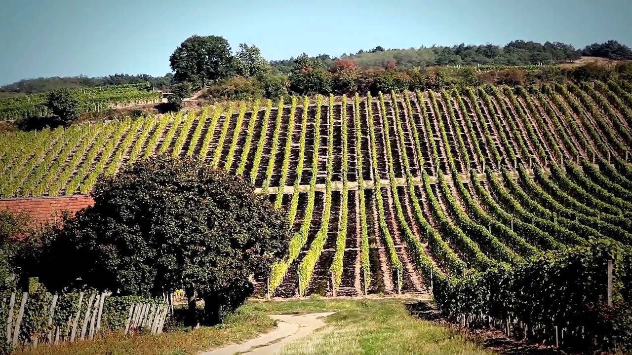 World Heritage Hungary - Tokaj / Világörökség Tokaj