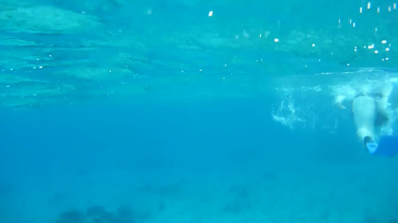PalMar Snorkel Beach Club Cozumel