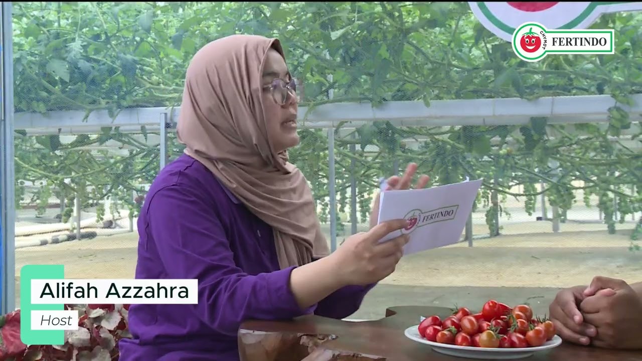 🎙️Podcast Panen Tomat🍅