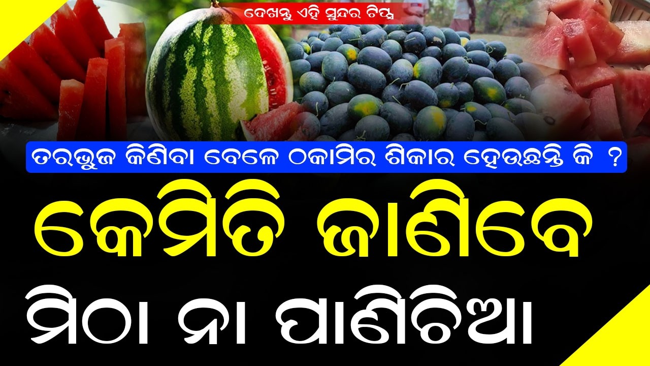 ତରଭୁଜ କିଣିବା ବେଳେ ଠକାମିର ଶିକାର ହେବେନି, ଦେଖନ୍ତୁ ସମ୍ପୁର୍ଣ୍ଣ ଟିପ୍ସ #watermelon #bnslive