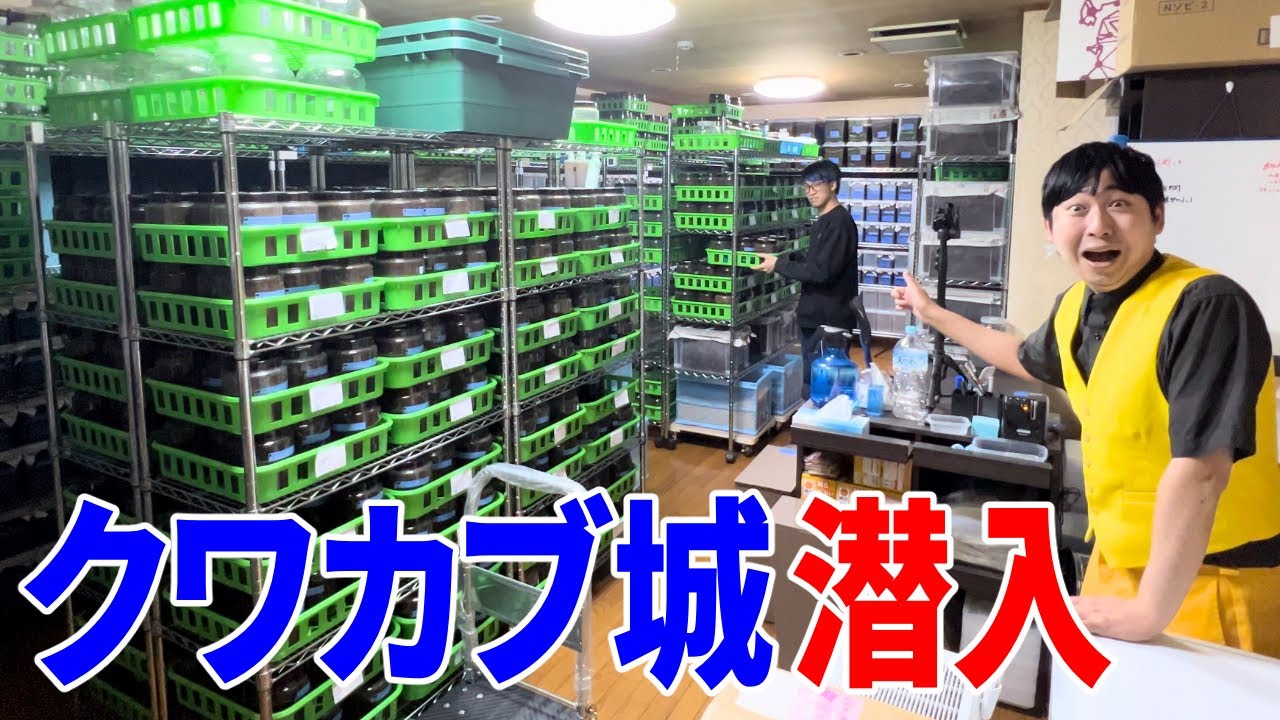 １０００匹以上の昆虫が住む元同居人の家がやばすぎた！！！