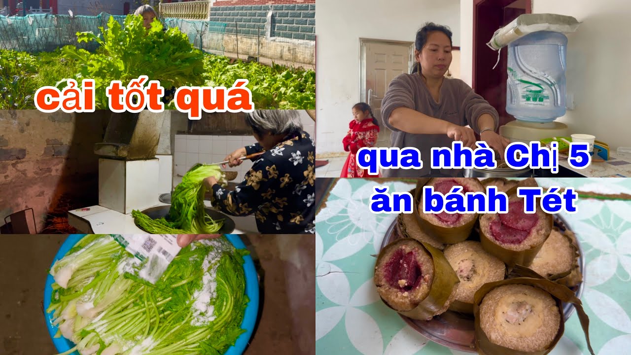 [1131]Bà Nội Cắt Cải Mèo Về Làm Dưa Cải Muối Chua.