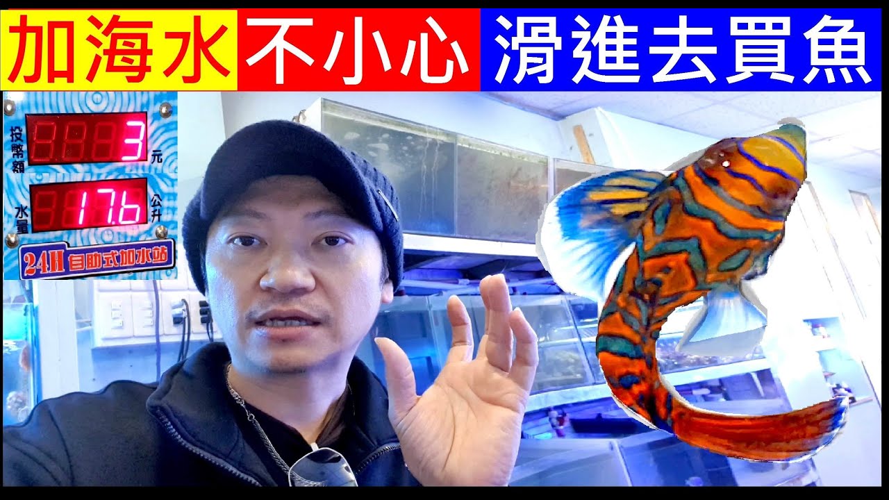 加海水不小心滑進去買魚【Go add sea water to buy sea fish】白同學海水魚DIY