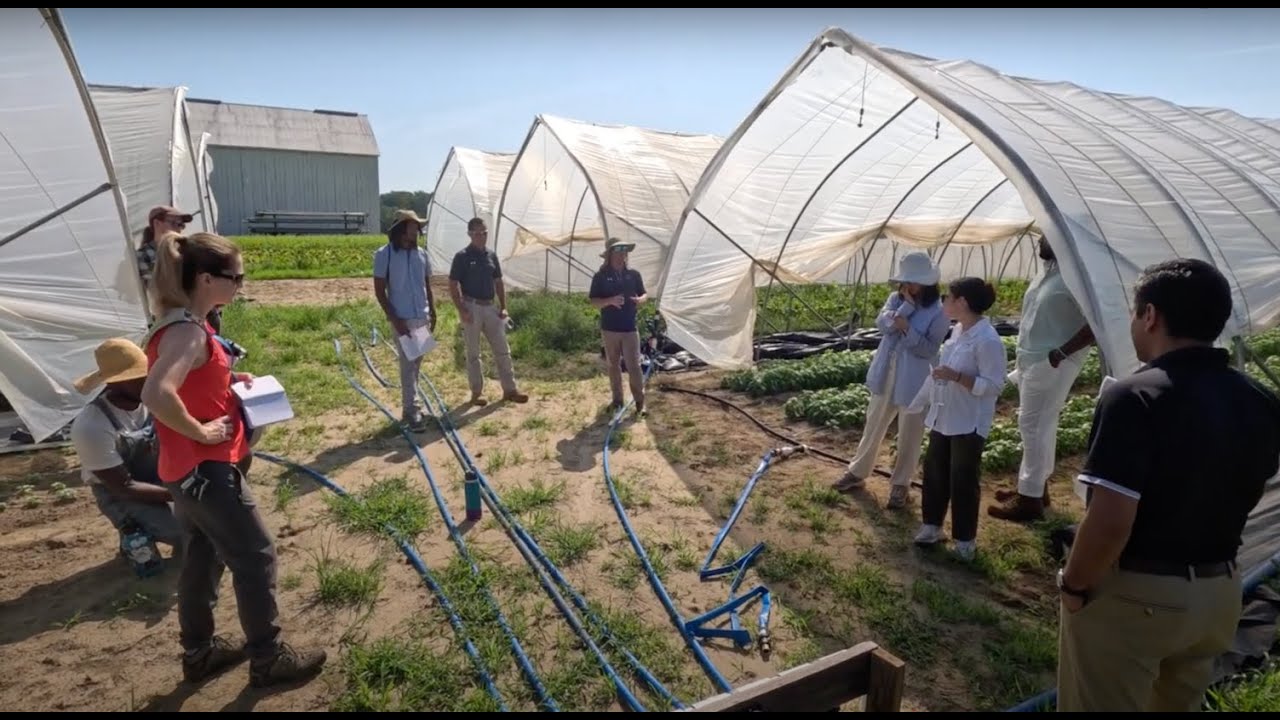 Harvesting rainwater with University of Maryland researchers