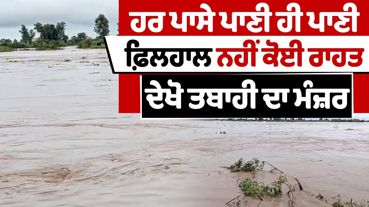 Firozpur  Flood Update  | ਹਰ ਪਾਸੇ ਪਾਣੀ ਹੀ ਪਾਣੀ, ਫ਼ਿਲਹਾਲ ਨਹੀਂ ਕੋਈ ਰਾਹਤ, ਦੇਖੋ ਤਬਾਹੀ ਦਾ ਮੰਜ਼ਰ