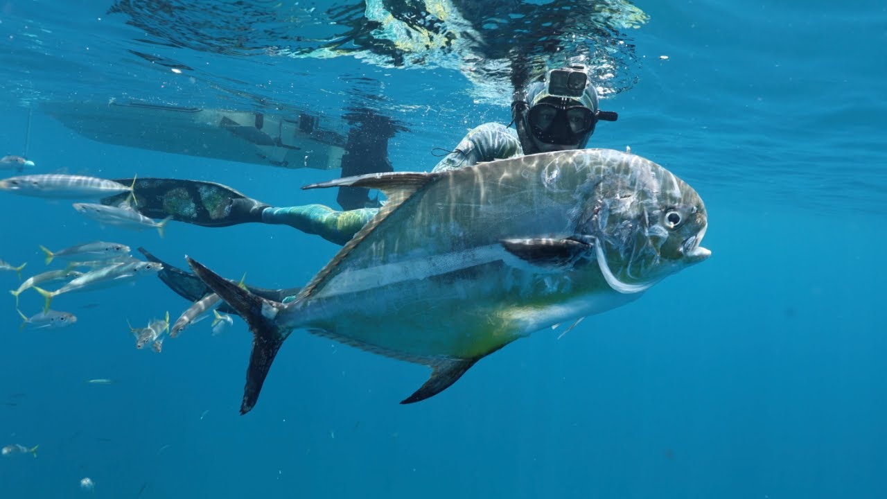 The Fish Made Us Work for It | Spearfishing Permit and Snapper At the Wrecks