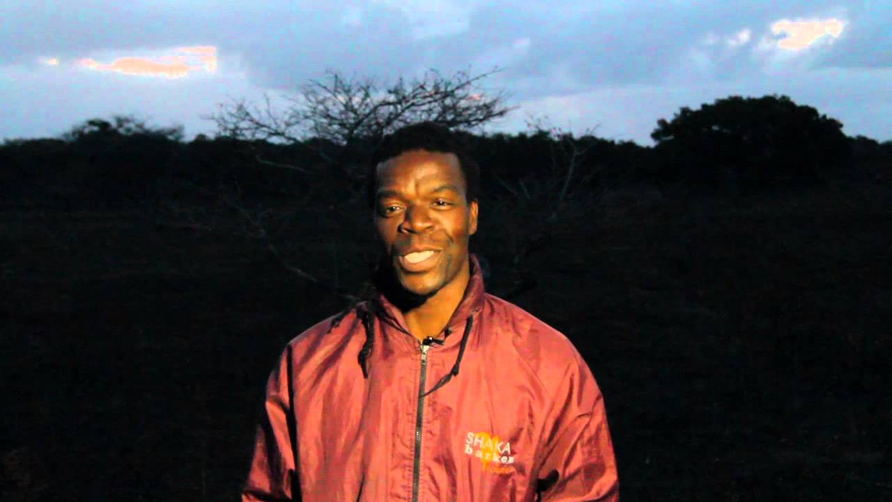 Meet Sakhile Dube - The Chameleon Whisperer of iSimangaliso