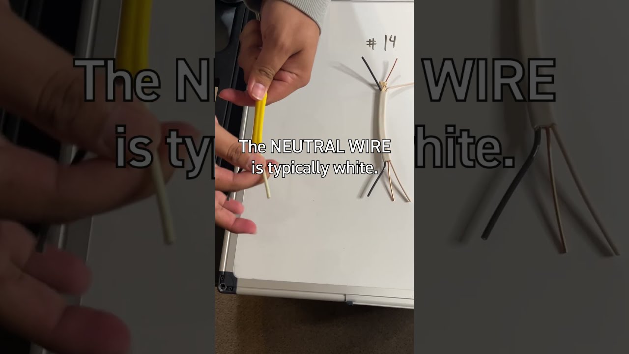 How a Neutral Wire Works #electricalwiring #wire #demonstration #diy #homeautomation #howto #hands