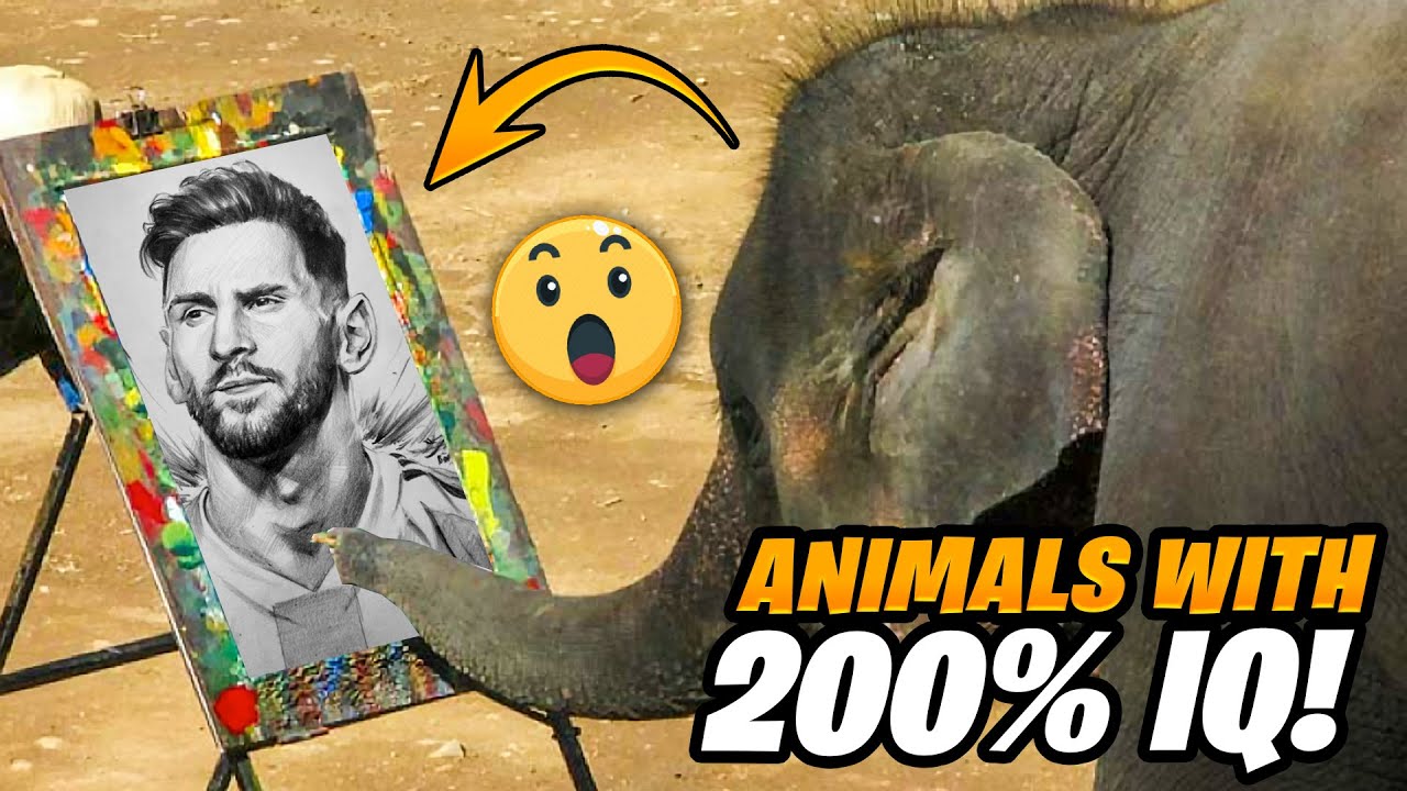 13 incredibili esempi di intelligenza animale che devi assolutamente vedere!