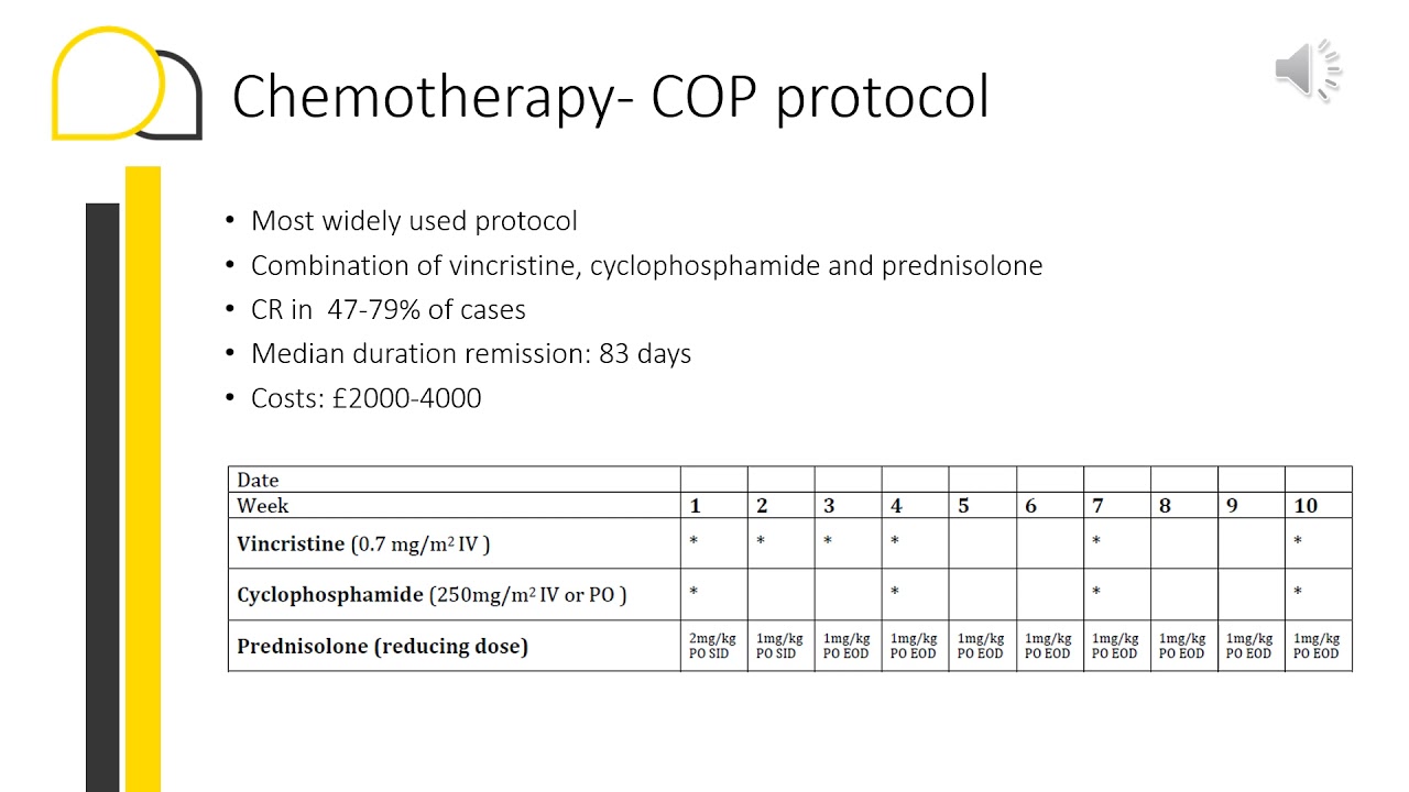 How to treat feline lymphoma?