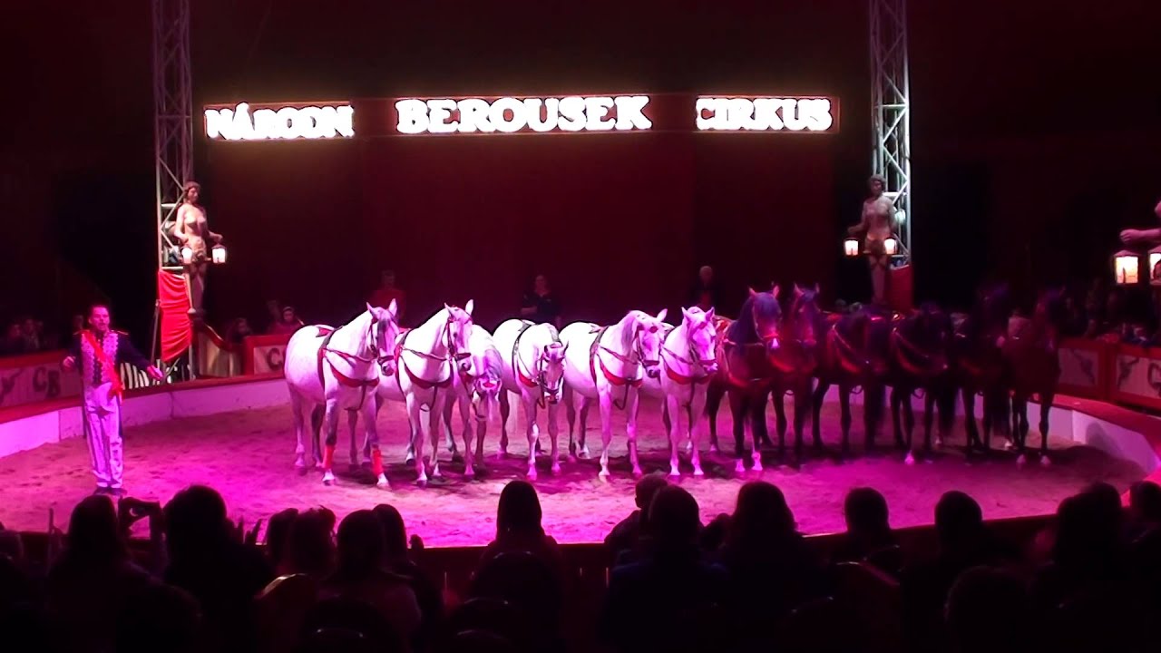 Národní cirkus Original Berousek - 12 Horses