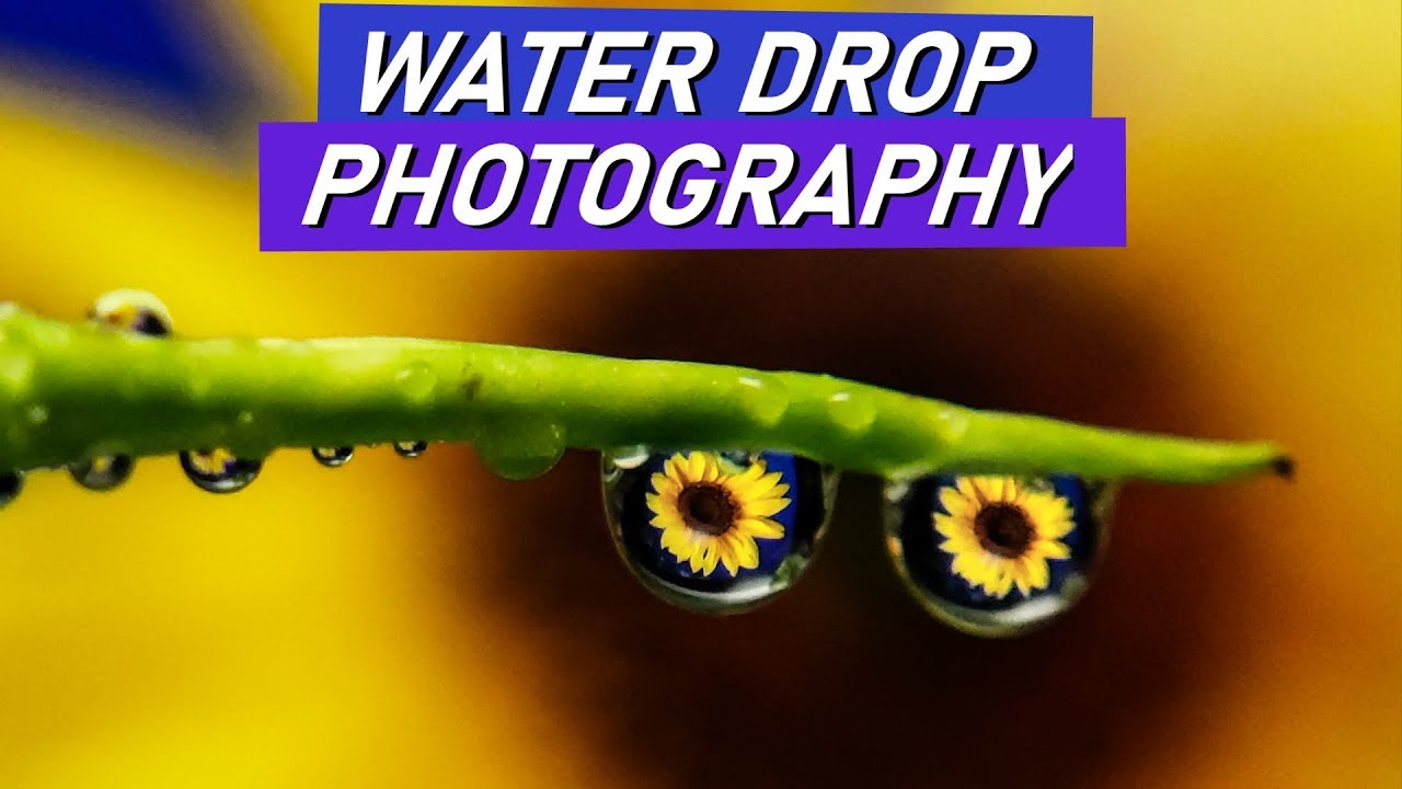 WATER DROP Creative Photography at Home💧 (in Hindi)