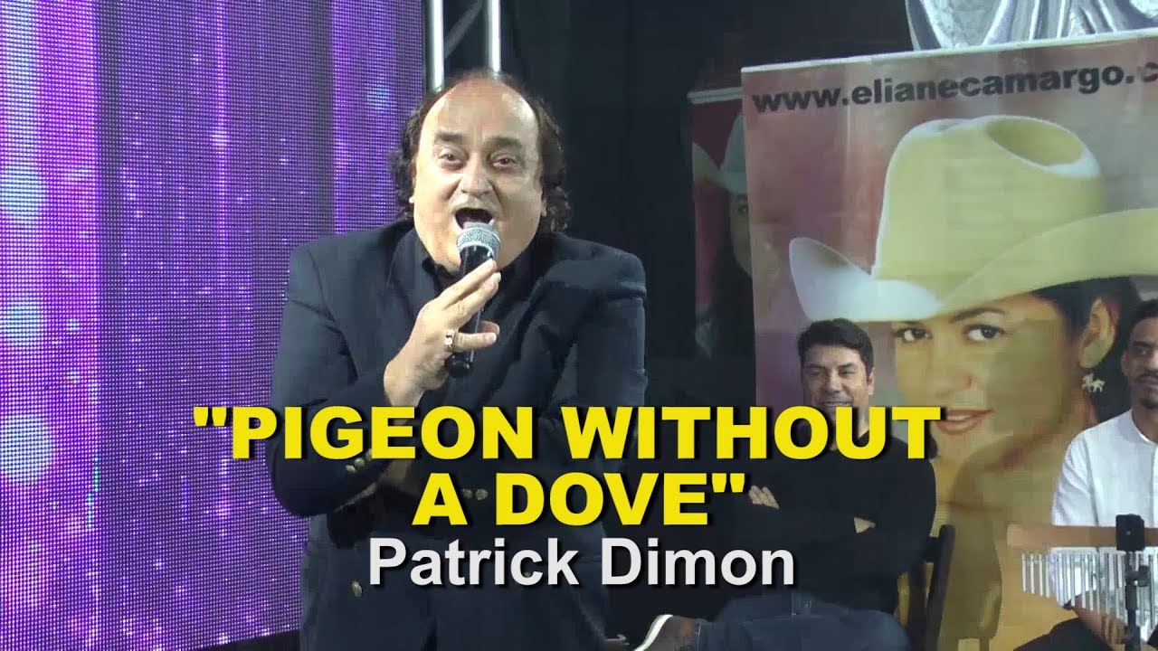 Patrick Dimon interpreta seu sucesso: “Pigeon without a dove”