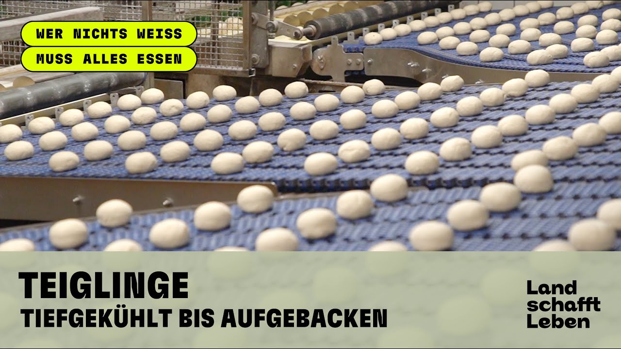 Teiglinge - von tiefgek&uuml;hlt bis aufgebacken