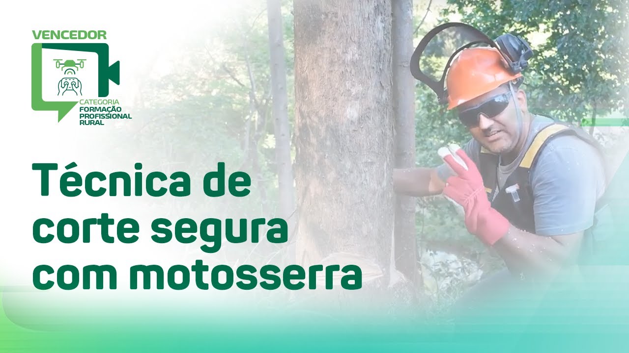 Técnica de corte segura com motosserra - Valdemar Cardoso (SC)