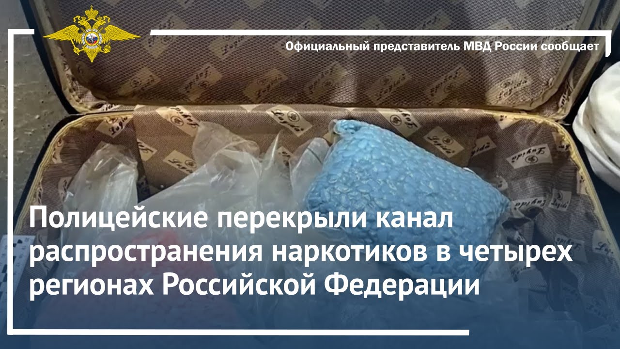 Ирина Волк: Полицейские перекрыли канал распространения наркотиков в четырех регионах России