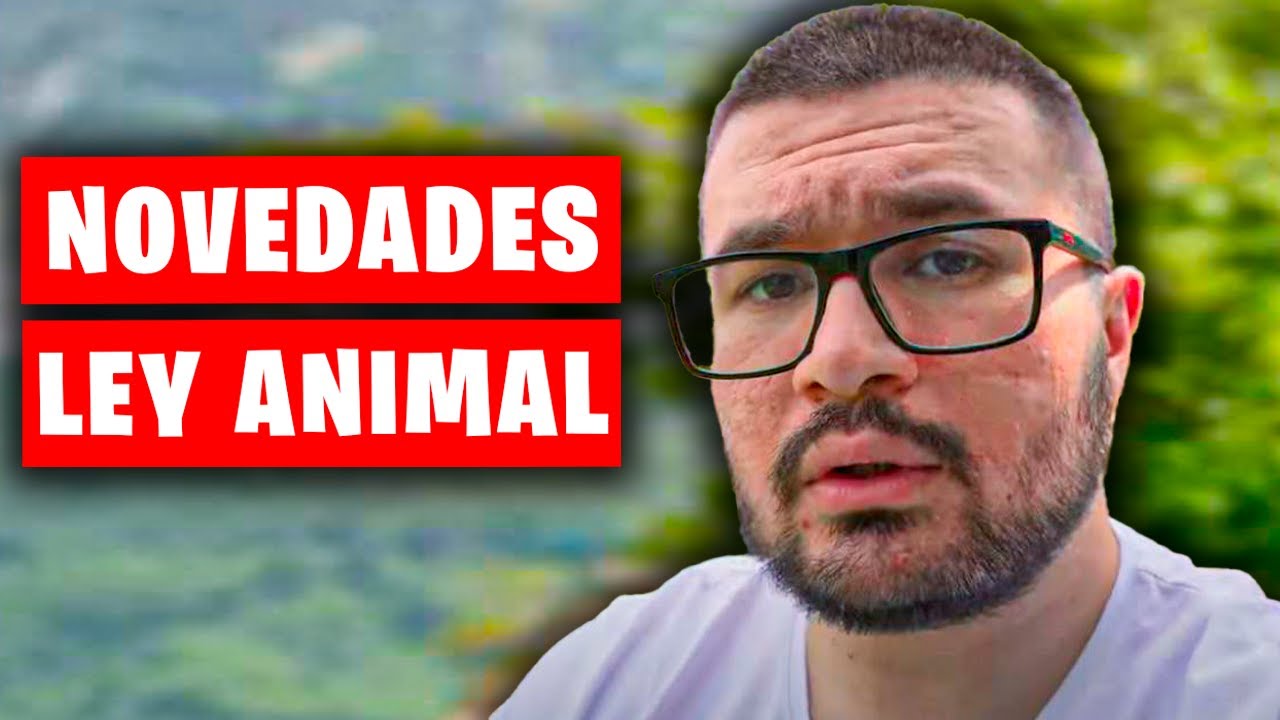 NOVEDADES SOBRE LA LEY DE BIENESTAR ANIMAL