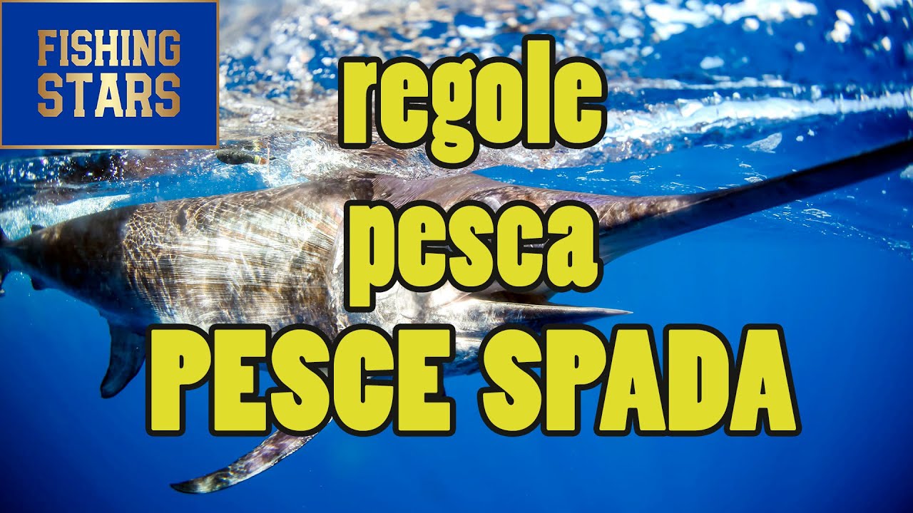 PESCE SPADA - regole per poterlo pescare
