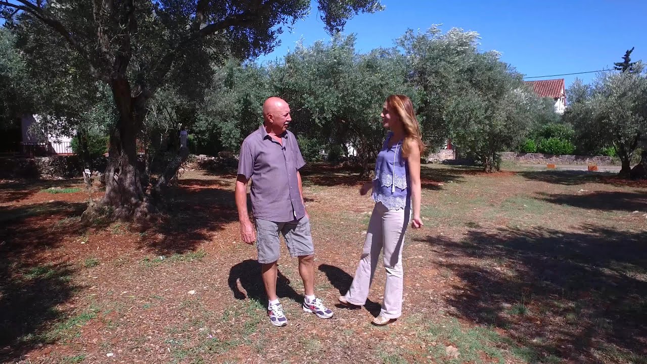 Olive Oil OPG VOJKO ŠKOPIĆ Ugljan