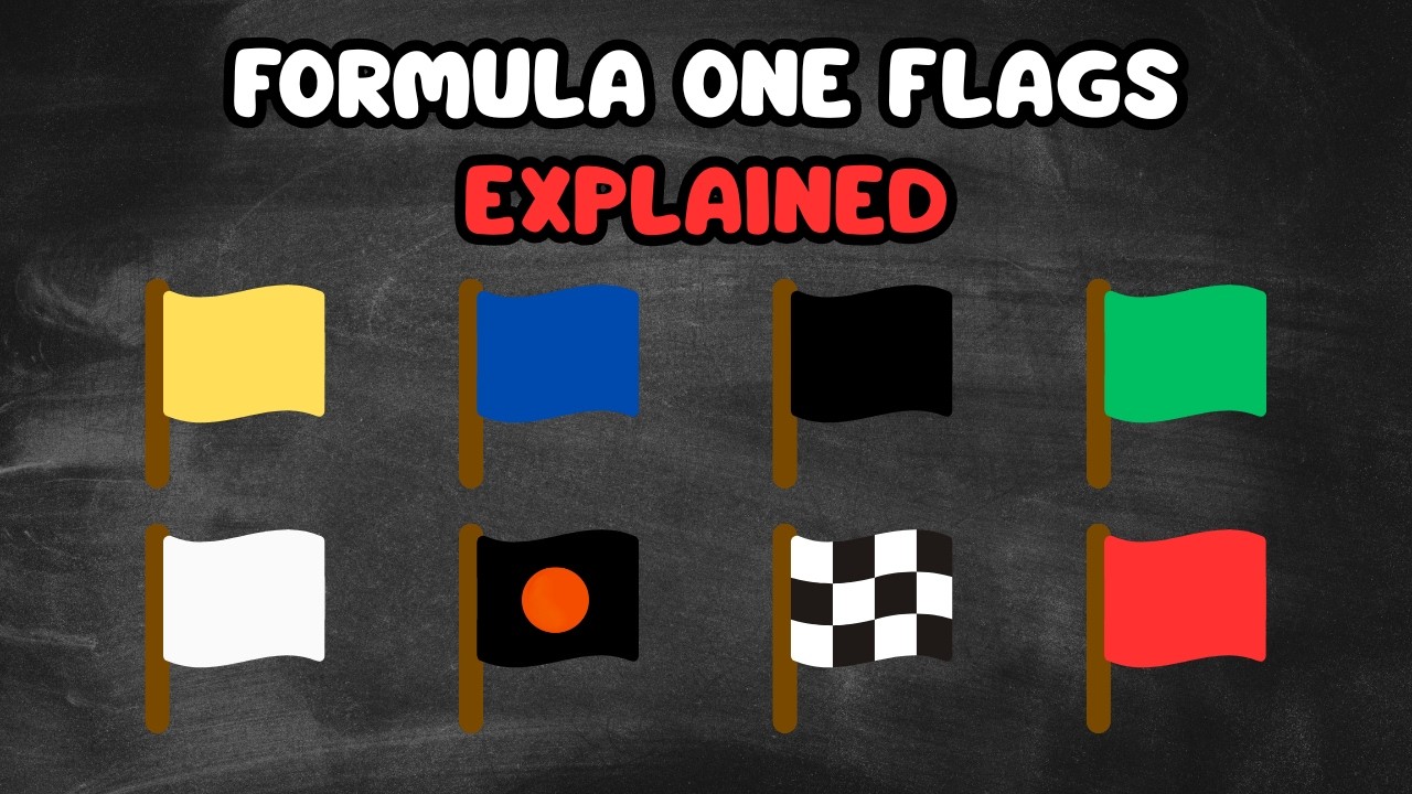 Every FLAG in Formula 1 EXPLAINED