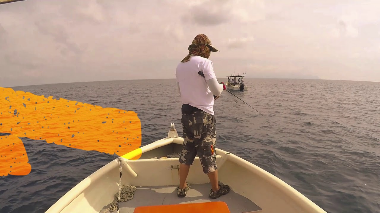 FISH ON video