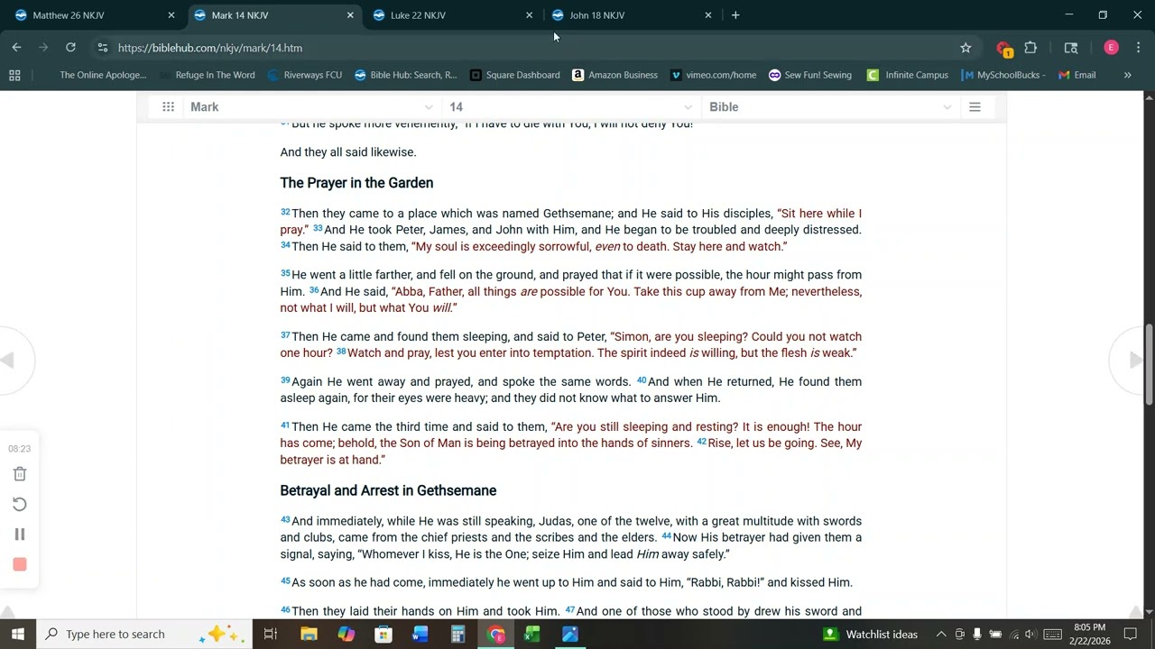 Video 116 Chronological Gospel Series