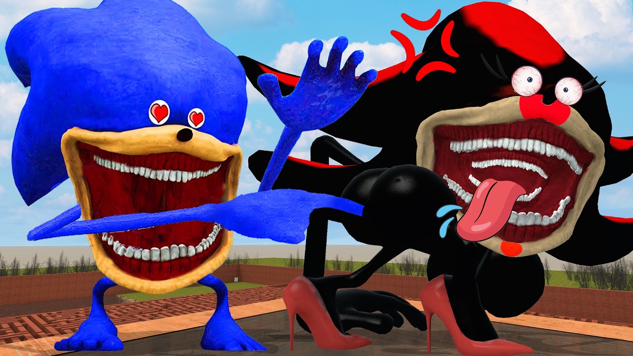 NEW UPGRADE SONIC SHADOW TAPES LOVE!  THE SONIC TAPES ANIMATION GOT TORTURE In Garry's Mod