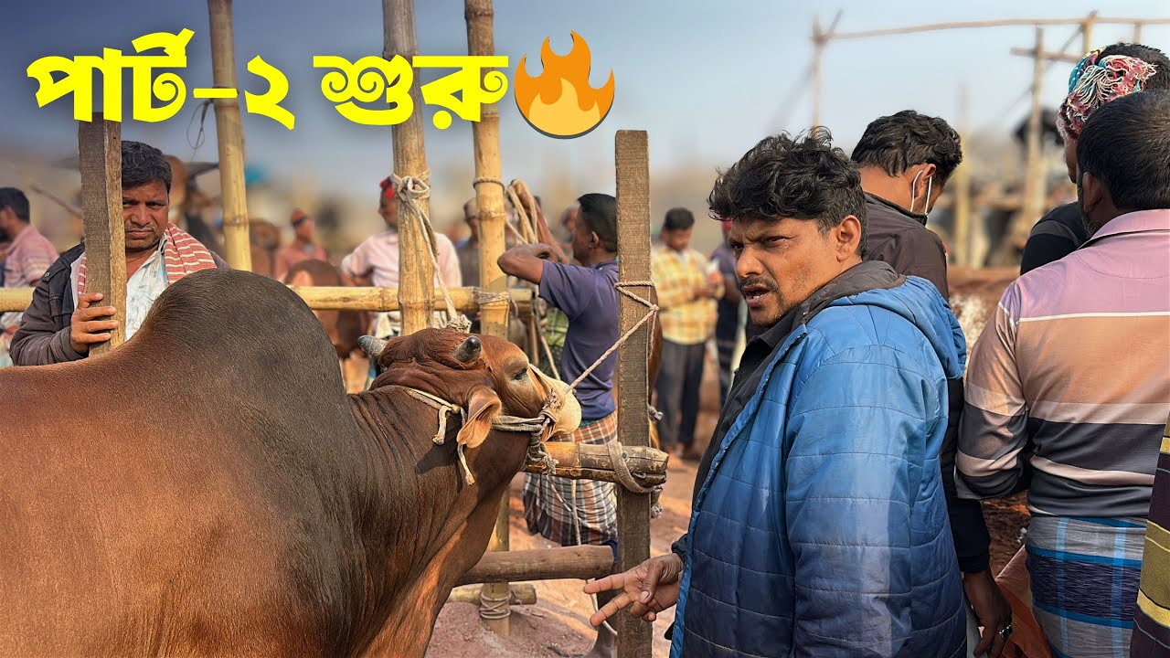 রাজশাহী সিটি হাট মিসফিল্ডিং পার্ট ২ | কোন গরু কত দরদাম হলো? | Rajshahi City Cattle Market 2026