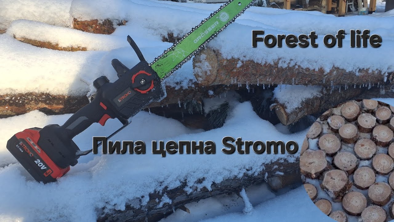 Пила Stromo нарізали дрова соснові. Електропила цепнапила пилка grosser