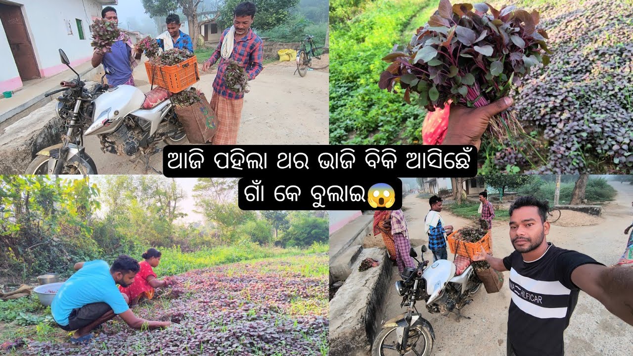 ଆଜି ପହିଲା ଥର ଭାଜି ବିକି ଆସିଛେଁ ଗାଁ କେ ବୁଲାଇ😱#farming #sambalpurivlog #odiavlog