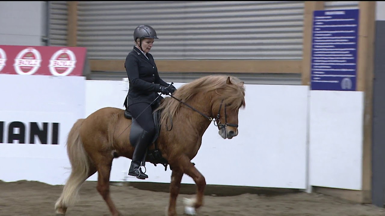 Olil Amble og Álfarinn frá Syðri-Gegnishólum - 2019