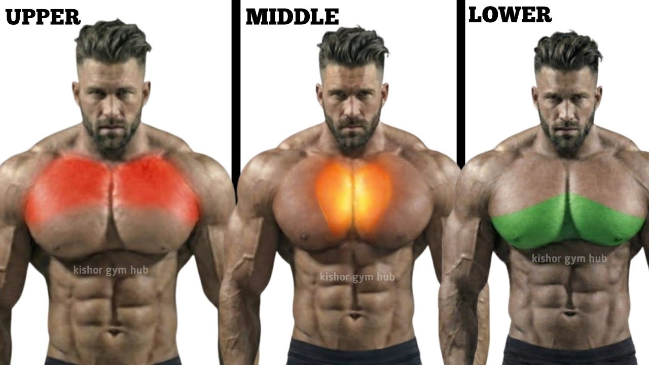“Full Chest Workout 🔥 Upper, Middle & Lower Chest Training”
