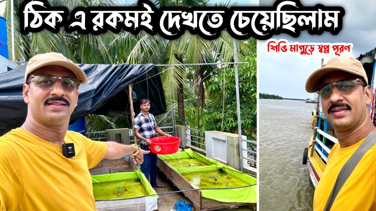 শিঙি মাগুরের দু বছরের দুটি সফলতা তুলে ধরলাম এবং আগামী বছর আরো বড় করে দেখাবো সেটাও মোটামুটি নিশ্চিত 