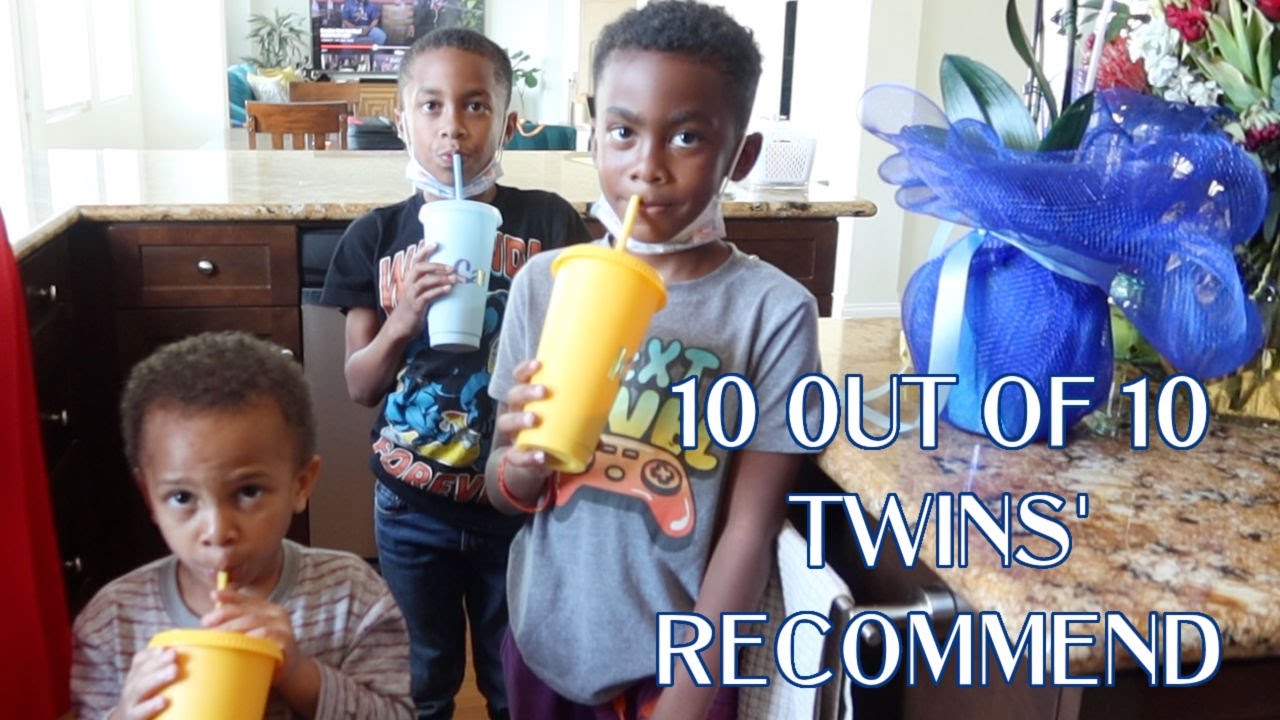 10 out of 10 The Twins Recommend | 2023 Vlog #62 | That Chick Angel TV