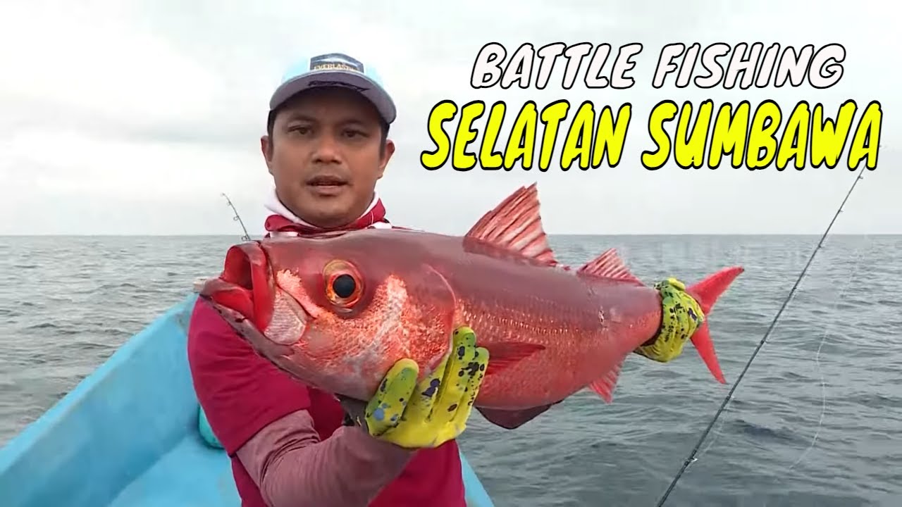 [FULL] BATTLE FISHING SELATAN SUMBAWA | MANCING MANIA STRIKE BACK (06/01/24)