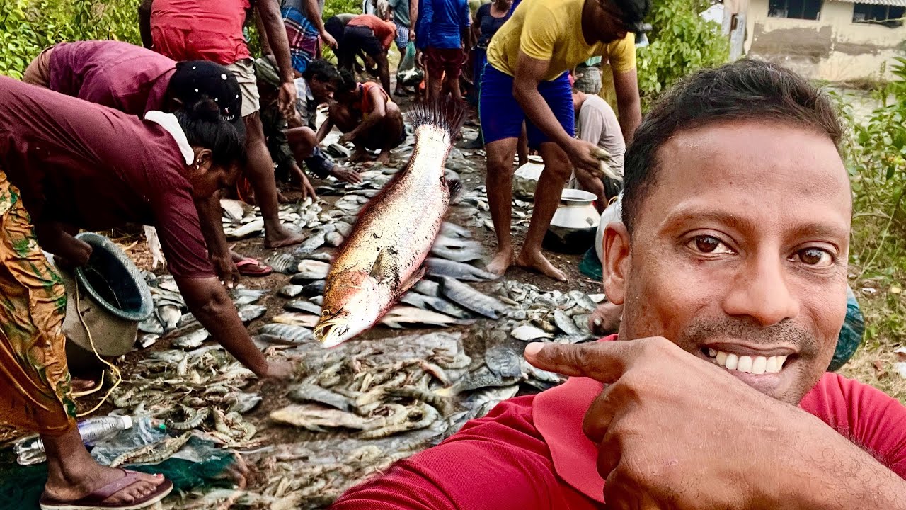 ഇനി ഇവിടെ റോഡിൽ വരെ മീനായിരിക്കും. . All the villagers went fishing.