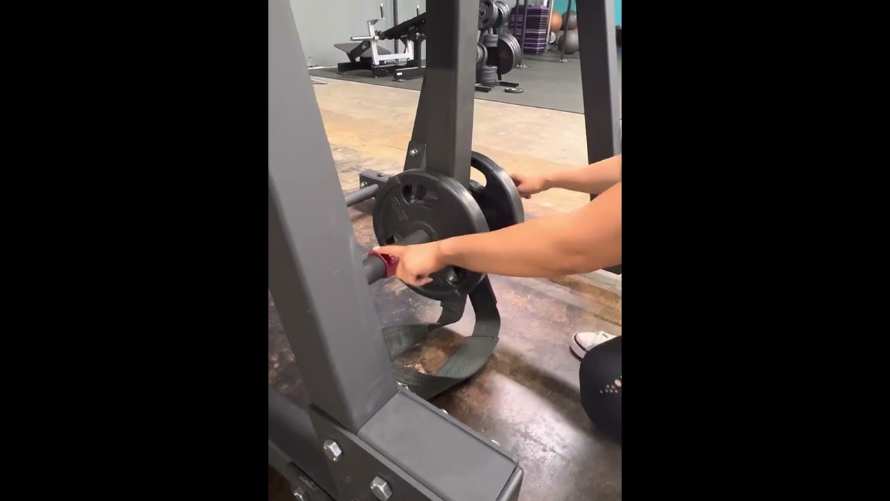 Rogue Reverse Hyperextention