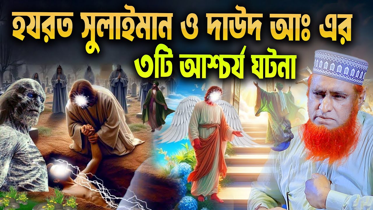 হযরত সুলাইমান ও দাউদ আঃ এর ৩টি আশ্চর্য ঘটনা । bozlur roshid waz download । Best Waz