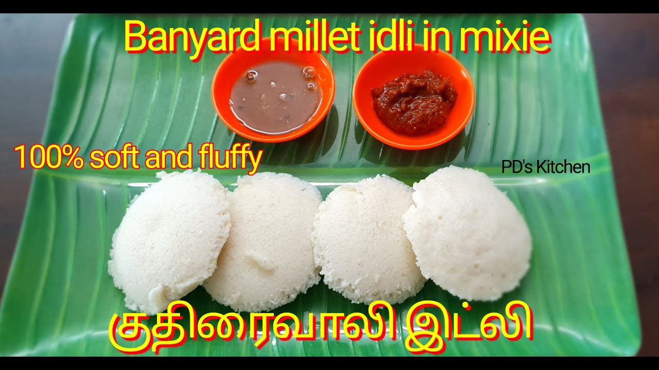 Banyard Millet Idli| Kuthiraivali Idli in mixie | How to make soft idli| Complete guide for beginner