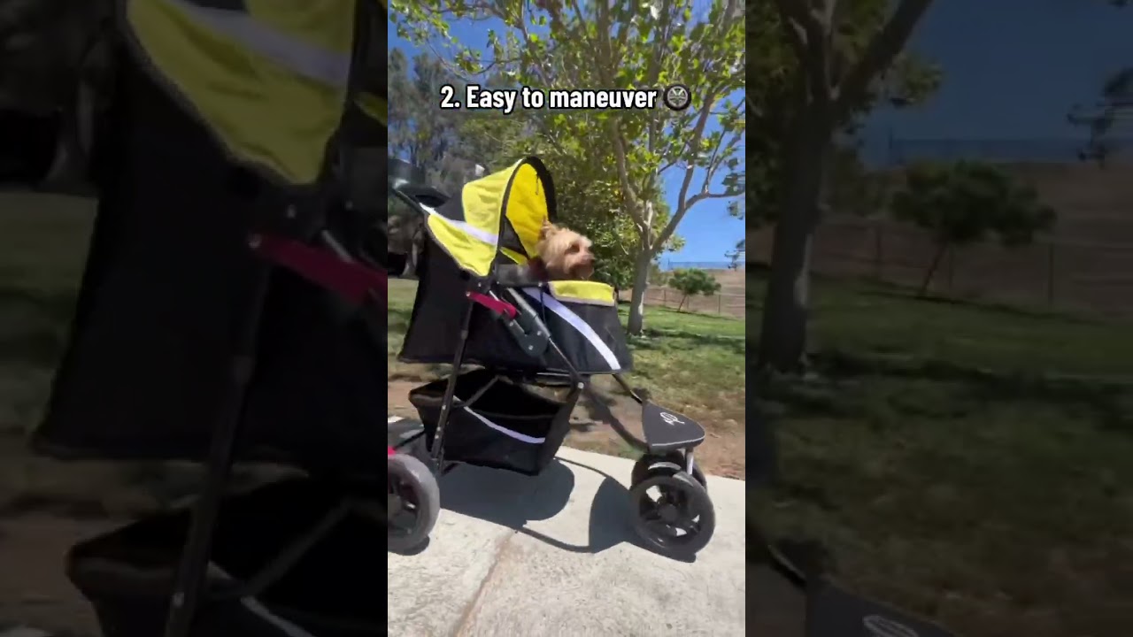 How to find the BEST pet stroller (petique.com💚) #petstroller #dogstroller #doglover #cutedogs
