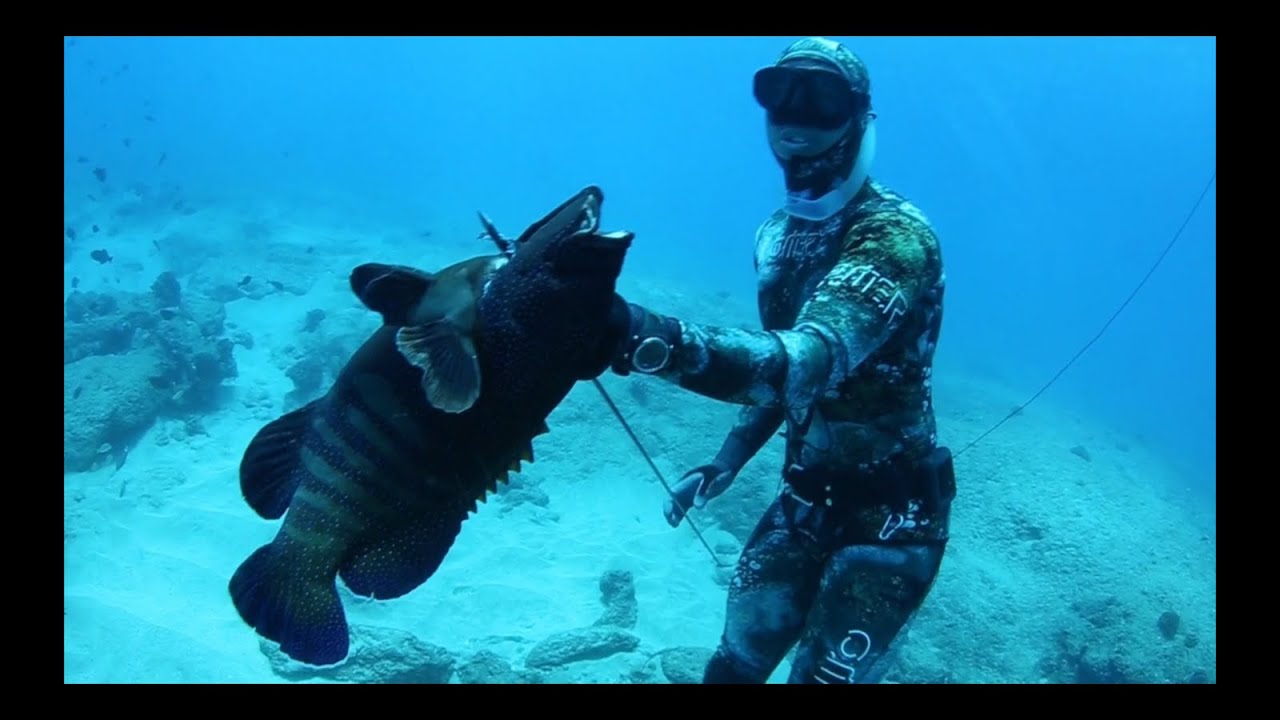 Hawaii Spearfishing - Of Man And Sea